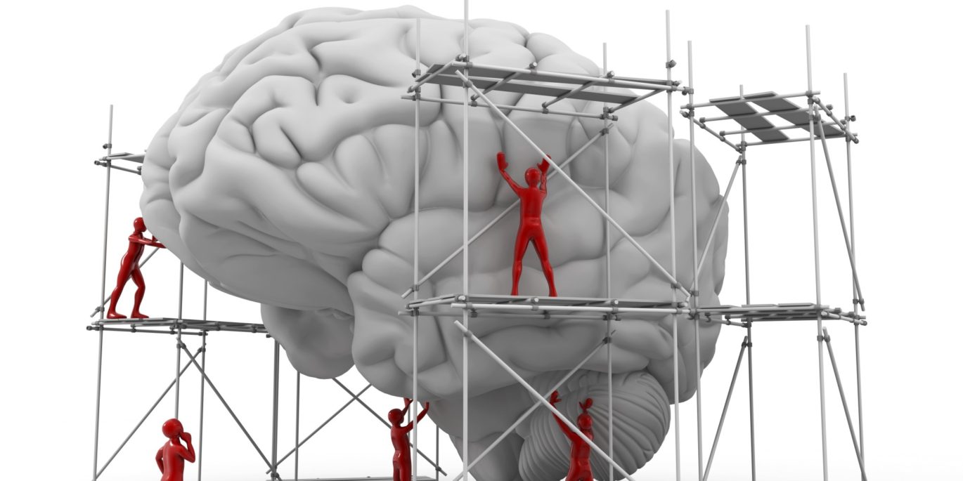 Brain Building 101.   Be your own ‘Neuro-Achitect’ | Herolab